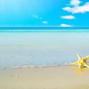 うみの画像