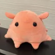 みなの画像