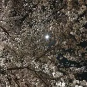 RAINMAKER COCOON COAT/STONE コクーンコート - メルカリ