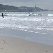 お冷