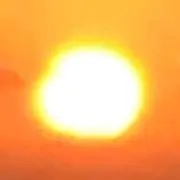 楓甲