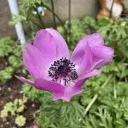 くまくま☺︎の画像