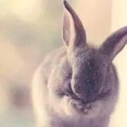 M⚠️説明読んでくださいの画像