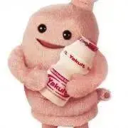 ぽんちゃんの画像