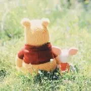 ぽんの画像