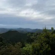 RUNAの画像