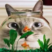チャピクリの画像