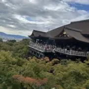 sotaの画像