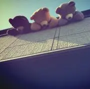 ぺぺの画像