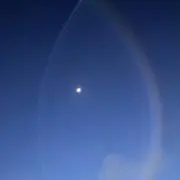 ルピシアの画像