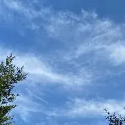 のん
