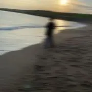 yoの画像