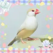 うめちぃ