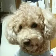 たぁ～こ♬*゜