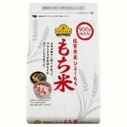 もちこの画像