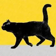 猫好きの猫アレルギー、Hiroboの画像