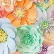 あん15の画像