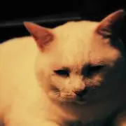 平井