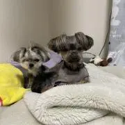 ふみちゃんの画像