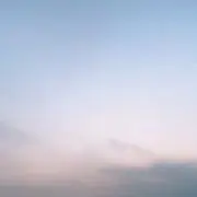 kumaの画像