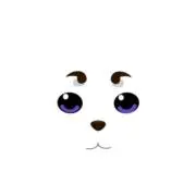ゆいの画像