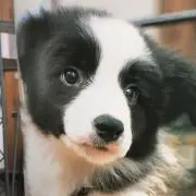 よっちゃんさんの画像