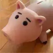 ゆきちの画像