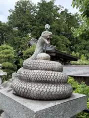 イワソウの画像