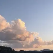nonoの画像