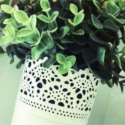 いちご☆の画像