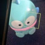 Ririの画像