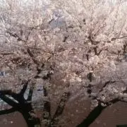 ドライアイ