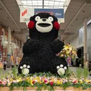 あきお