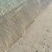 Yoの画像