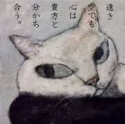 nの画像