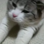 うに