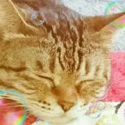 かおりん45