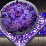 CHEの画像