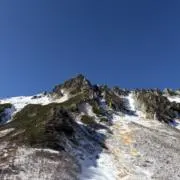 はるの画像
