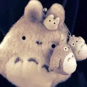 MTS