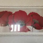 Yukkyの画像