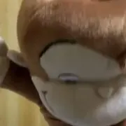 xの画像