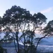 りゅにしま