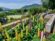 443の画像