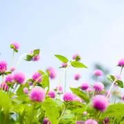 aaache SALE色々出品しています
