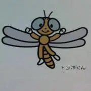 HAANA☆
