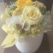 えっちゃんの画像