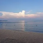 ワルツの画像