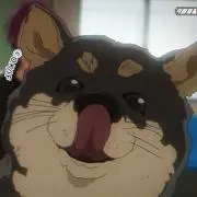 まつの画像