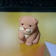 カメネコの画像